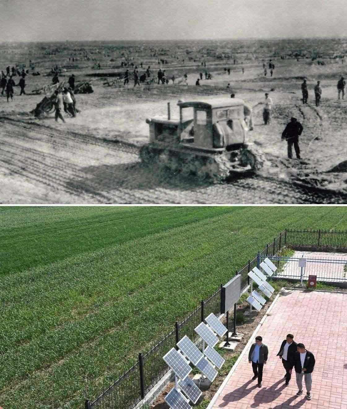 上圖為二十世紀六十年代蘭考改造鹽堿地的情景（資料照片）；下圖為2024年4月18日拍攝的蘭考縣紅廟鎮(zhèn)高標準農(nóng)田示范區(qū)。（新華社記者 朱祥 攝）