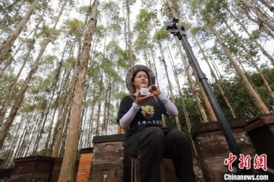 吳素英在網(wǎng)絡(luò)平臺直播介紹蜜蜂和養(yǎng)蜂情況。湯曉逵 攝