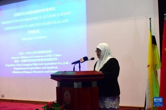 10月26日，文萊初級資源與旅游部常任秘書圖蒂亞蒂在斯里巴加灣市出席中國與文萊雜交水稻高級專家顧問項(xiàng)目啟動(dòng)儀式。新華社記者 李萌 攝