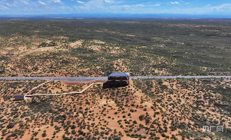 古浪縣一代代人治沙不息，讓綠色向沙漠深處不斷延伸（央廣網(wǎng)記者 李紅軍 攝）