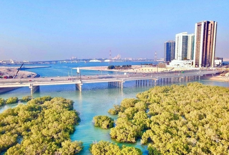 圖為瑞姆橋施工現場。中國土木供圖