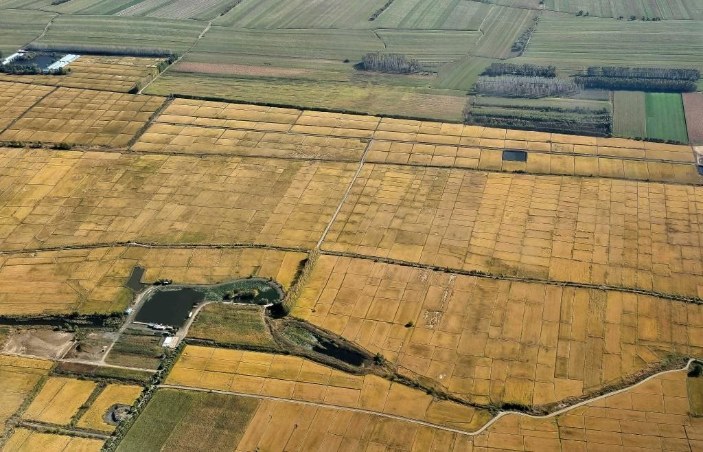 俯瞰黑龍江省哈爾濱市一處稻田（10月2日攝，無(wú)人機(jī)照片）。新華社記者 孫曉宇 攝