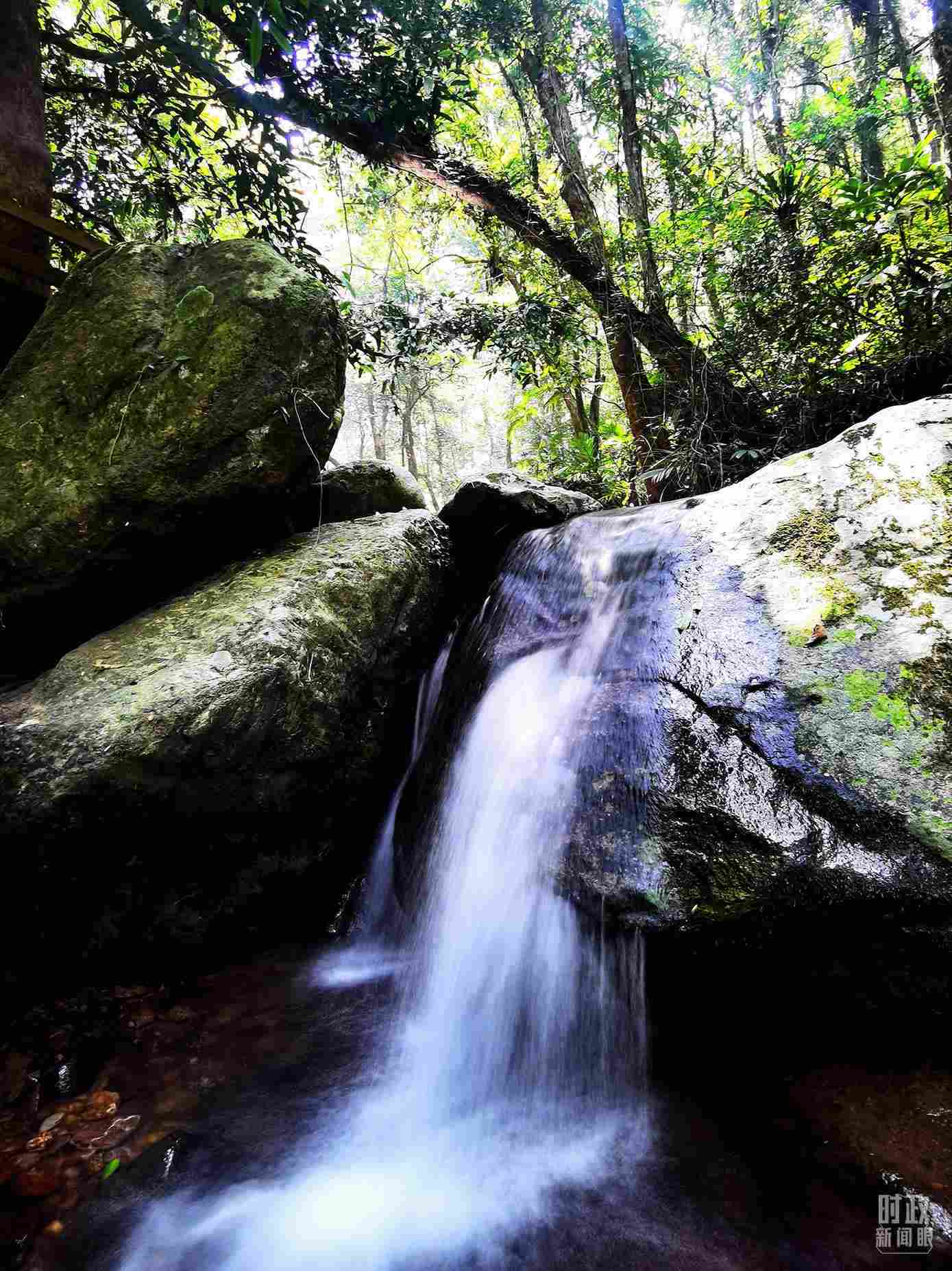 海南五指山。（總臺(tái)央視記者劉琦拍攝）