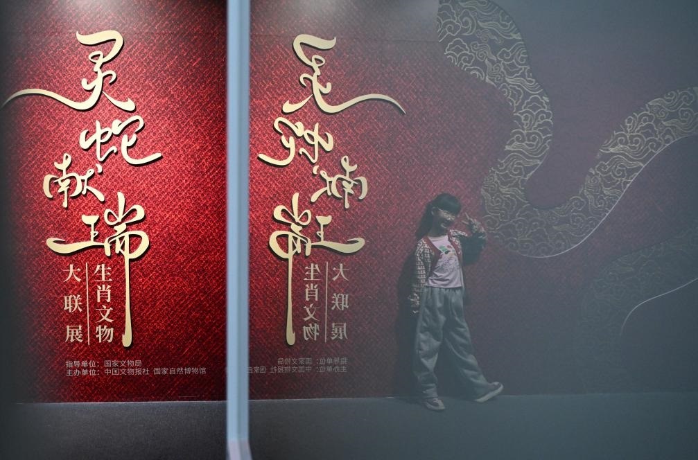 1月18日，一名小朋友在國家自然博物館舉辦的“靈蛇獻瑞——2025乙巳蛇年生肖文物大聯(lián)展”展覽中拍照留念。（新華社記者 陳鐘昊 攝）