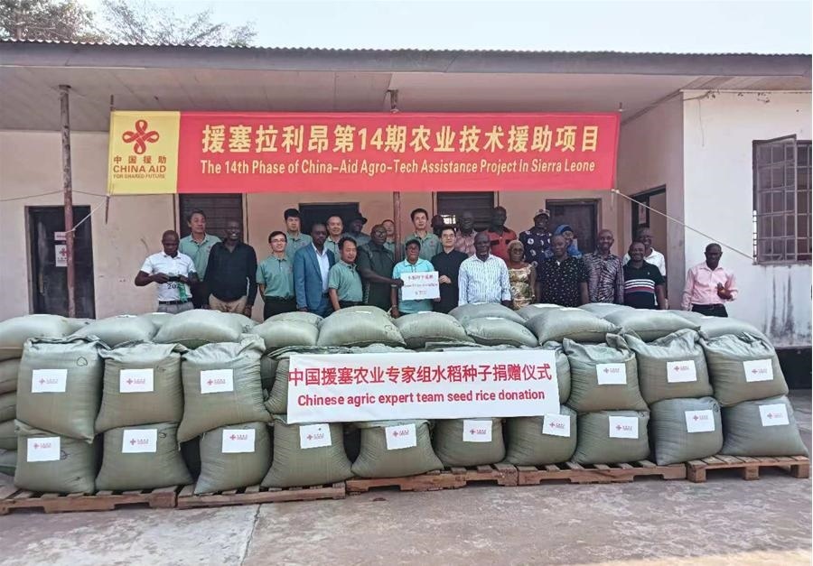 中國援塞拉利昂農(nóng)業(yè)專家組在塞南方省博城舉辦水稻種子捐贈(zèng)儀式。中國援塞農(nóng)業(yè)專家組供圖