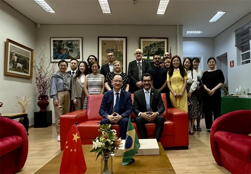 圖為參加座談會(huì)的來(lái)賓合影留念。 圣保羅州立大學(xué)孔子學(xué)院供圖