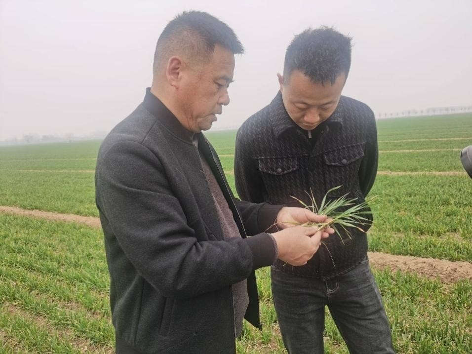 在山東濟(jì)寧汶上縣苑莊鎮(zhèn)，農(nóng)技員黃海龍對(duì)種糧大戶王振現(xiàn)場(chǎng)進(jìn)行春耕指導(dǎo)。人民網(wǎng)記者 車柯蒙攝