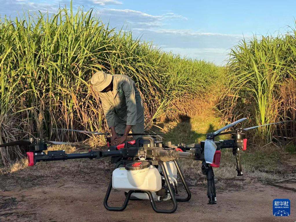 3月25日，在南非夸祖魯-納塔爾省的方廷希爾莊園，工作人員為無(wú)人機(jī)做起飛作業(yè)前的準(zhǔn)備。新華社記者 白舸 攝