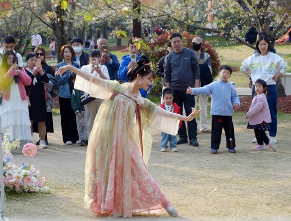 清明假期期間，上海顧村公園櫻花島上，游客在觀賞國(guó)風(fēng)漢服快閃表演。（圖片來(lái)源：視覺(jué)中國(guó)）