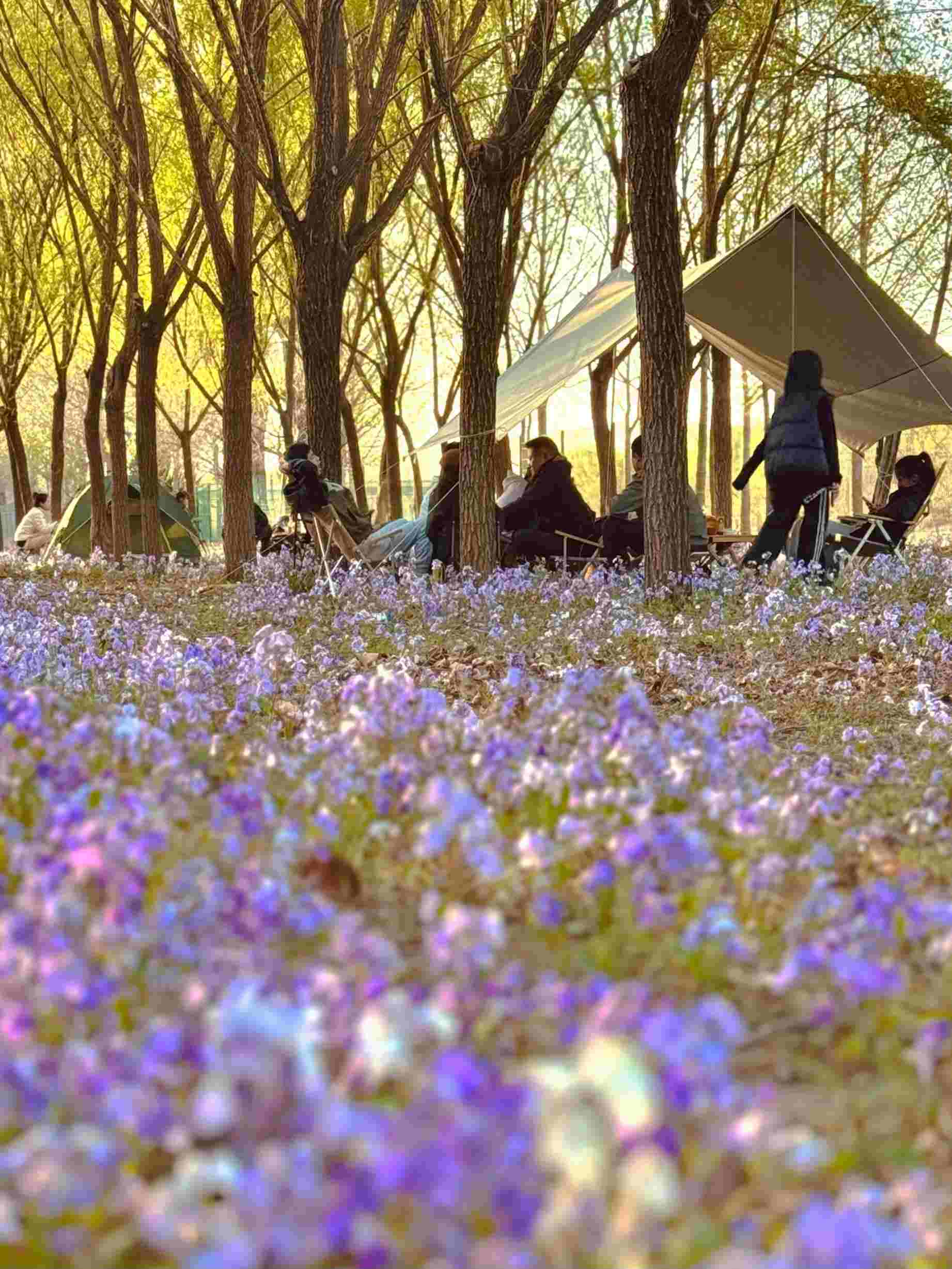 清明假期期間，范女士一家在北京溫榆河邊露營(yíng)。受訪者供圖