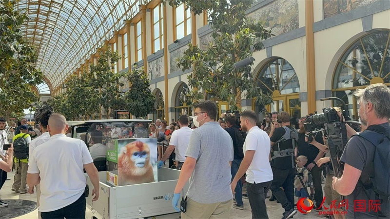 圖為活動(dòng)現(xiàn)場(chǎng)。人民網(wǎng)記者 牛瑞飛攝