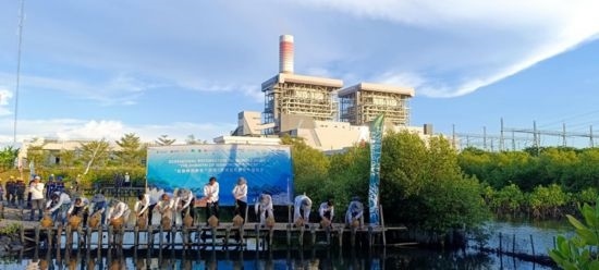 5月18日，中印尼嘉賓在爪哇7號燃煤電站舉行紅樹林補(bǔ)植儀式。記者 曹凱 攝