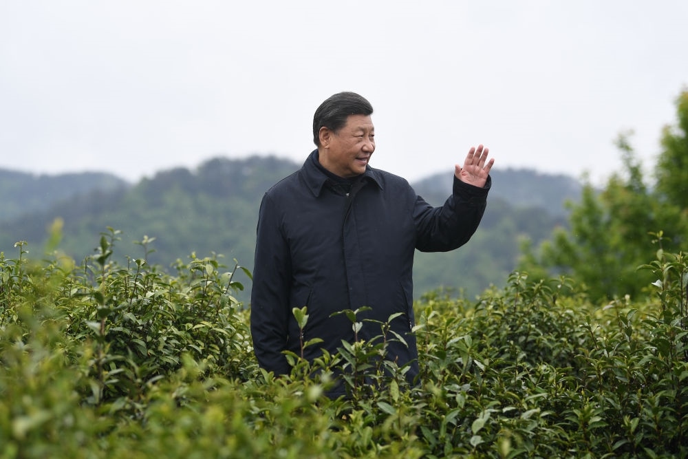 2020年4月21日，習近平總書記來到陜西安康市平利縣老縣鎮(zhèn)，在茶園考察脫貧攻堅情況。新華社記者 燕雁 攝